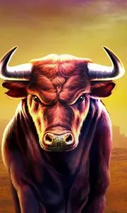 Black Bull